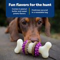 PetSafe Busy Buddy Dog Treat Rings Variety Pack, Medium, Size B, 24 Count