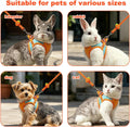 Bunny Harness and Leash Set Double Buckle | Soft Rabbit Harnesses with Carrot | Adjustable Reflective Strips Jacket Esca