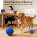 Invengo Interactive Dog Ball, Automatic Rolling Dog Toys with 3 Play Modes
