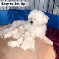 Artilife Whelping Pen for Dogs,Whelping Box for Small Dogs and Puppies,Dog Birth Supplies,Portable Whelping Pool Whelpin