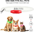 Novkin 2-Pack LED Dog Collar, Light Up Dog Collars,Rechargeable Dog Lights for Night Walking，Universal, Reusable Safety 