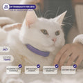 Gentle Paws 60-Day Cat Calming Collar (2-Pack) | for Stress, Fighting, Spraying, Pee Accidents, Anxiety & Aggression | L