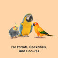 Kaytee Fiesta Healthy Toppings Papaya Bits For All Pet Birds, 2.5-Oz Bag