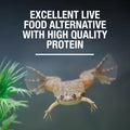 Tetra ReptoTreat Supplemental Turtle Food Sticks with Krill Meal, 2.18 oz