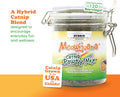 Meowijuana Catnibas Catnip Pawty Mix Jar | Premium Cat Nip for Cats with Silvervine, Passion Flower, Chamomile, Dandelion & Valerian Root | High Potency Catnip | 60g