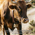 2 Pack Grazing Copper Bells, Metal Cow Bells for Dogs, Animal Copper Loud Bronze Bell, Small Brass Bell for Cow Horse Sh