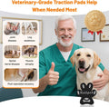 Dog Paw Pads for Senior Dogs to Prevent Slipping on Hardwood Floors
