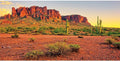 AWERT 36x18 in Terrarium Backdrop Desert Cactus Reptile Habitat Background