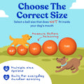 Doggie Dooley Virtually Indestructible Dog Ball - 10 Inch