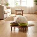 SPUNKYJUNKY Shallow Elevated Cat Bowl with Acacia Wood Stand Wide Raised Ceramic Cat Dishes Whisker Friendly Pet Food an