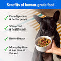PetPlate Trail Blazin' Beef FreshBaked Dry Dog Food Grain-Inclusive, Gently Baked and Air-Dried Human Grade Dog Food, Fo