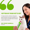 Pet Honesty Vet Backed Cat Probiotics Lickable Puree, Salmon, 20 Ct