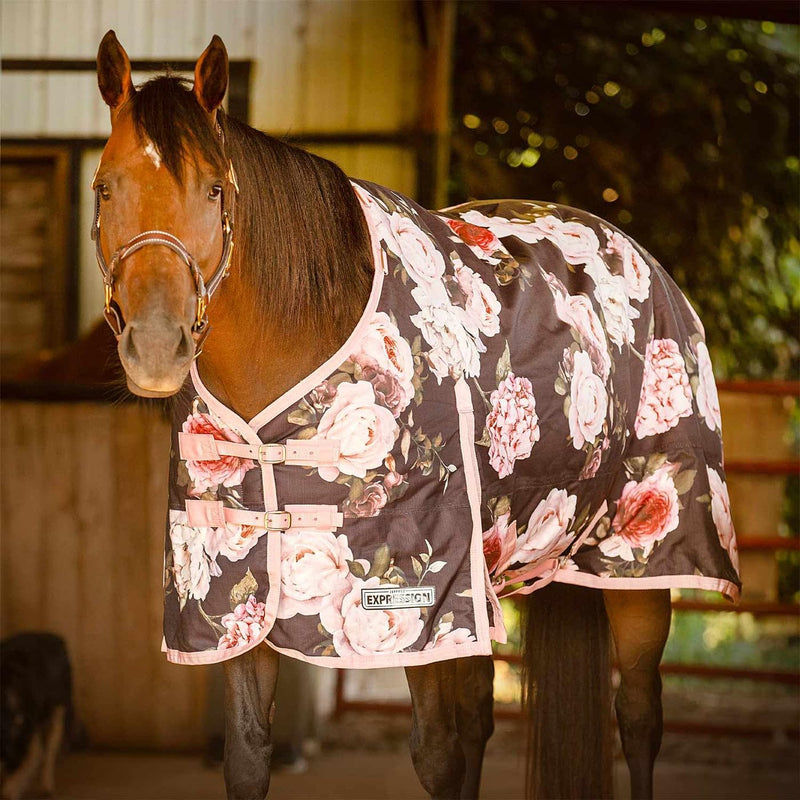 Jeffers Expression 1200D Turnout Horse Blanket, 240G, 72