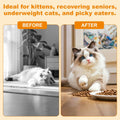 Appetite Stimulant for Cats, High Calorie Gel Cat Weight Gainer with Vitamins, Minerals & Omega Fatty Acids, Energy Support for Kittens & Senior Cats Not Eating, Weak, Recovering, 100cc
