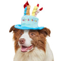 Cute Pet Party Hat for Dogs&Cats - Soft Fluffy Birthday Cap with 5 Color Candles (Blue), Adjustable Strap for Halloween,Costume&Photo Shoots,Fits Small to Large Pets,Washable&Comfortable (Blue)