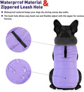 Petglad Waterproof Dog Winter Coat, Warm Fleece Snow Jacket with Leash Hole