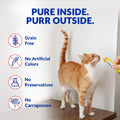 INABA Churu Lickable Purée Natural Cat Treats (Chicken with Cheese Recipe, 4 Tubes)