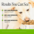 6 Billion CFU Dog Probiotics with Prebiotics, Digestive Enzymes, & Fiber - Relief for Occasional Diarrhea, Gas, Bloating & Itchy Skin - Daily Gut Health & Immune Support for All Dogs (Pumpkin, 90 ct)