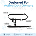 The Buddy System Adjustable Hands Free Dog Leash, Hand-Free Leash for Running, Jogging, Walking, Hiking and Training Service Dogs, Versatile All Dog Sizes - Made in USA - Regular, Black