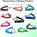 Martingale Collar for Dogs, Biothane, Stainless Steel Hardware, No Pull, Made in The USA, Professional Grade