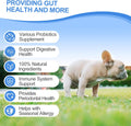Probiotics for Dogs Gut Digestive Health Probiotic Chews for Dogs with 11 Billion CFUs, 4 Prebiotics, Pumpkin, Salmon Oi