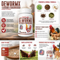 Farmalab Natural Dewormer Internal & External 100 Tabs Poultry NO Egg Withdrawal Needed - Vitamin for Poultry Rooster Hen Chicken Baby Chick