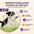 TTLXRL Probiotics for Dogs 200pcs Dog Probiotics for Digestive Health Digestive Enzymes and Prebiotic, Probiotic Chews for Dogs Support Gut Health, Relieve Diarrhea, Itchy Skin, Enhance Immunity