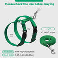 Outus 5 Pieces Adjustable Rabbit Harness and Leash Set, Lovely Color