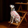 Recovery Suit for Dogs Cats After Surgery, Cone Alternative, Pink, L