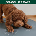 FXW Floor Protector Mat, Waterproof PVC, 67" x 47", Gray