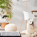 Mifoci 2 Pcs Dog Pee Pad Holder Potty Tray Portable Dog Litter Box Toilet Training for Small Medium Large Pet Puppy Indo