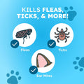 BugMD Flea and Tick Spray for Dogs - Kills & Repels on Contact