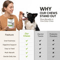 TzzyiC Probiotics for Dogs Gut Digestive Health Probiotic Chews for Dogs Digestive Enzymes Relieve Diarrhea Immunity Oral Problems Itching Constipation Prebiotics Dog Probiotics 200 Ct Chicken