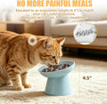 Ceramic Elevated Slow Feeder Cat Bowl - 6" Raised Cat Food Bowl for Bloat Relief & Anti-Vomiting, Whisker Friendly Ceram
