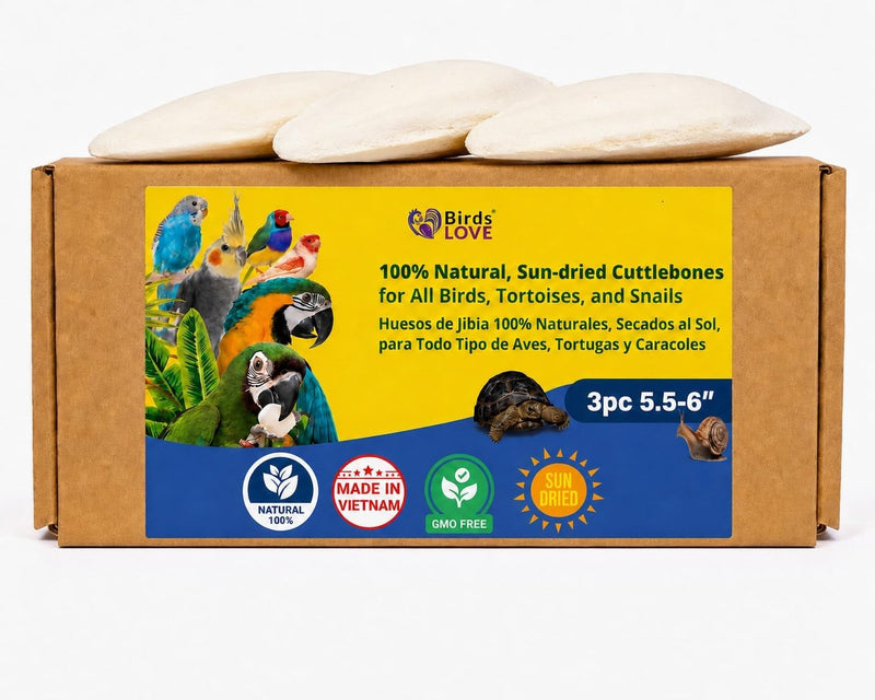 Birds LOVE 5.5-6″ Cuttlebone for Birds – 100% Natural Sun-Dried Calcium & Beak Conditioning Supplement for Parakeets, Bu