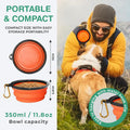 Collapsible Dog Bowl, Portable Travel Food & Water Bowl