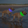 2 Packs Light Up Dog Collar, Kpuplol USB Rechargeable Dog Lights for Night
