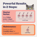 Summit Feline Pain Relief Supplement Inflammation Hip & Joint Support Vitamin for Cats - Natural Chrondroitin with Liposomal Delivery for Arthritis - Drug Free - All Ages