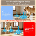 Interactive Dog Toys Dog Soccer Ball to Keep Them Busy
