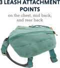 Ruffwear, Front Range Day Pack