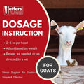 Jeffers Vita-Min Gel for Livestock & Horses – Multivitamin & Mineral Supplement with Selenium, Zinc, Potassium & Turmeri