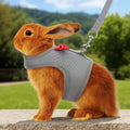 Bunny Harness and Leash Set, Soft Breathable Mesh Rabbit Leash Vest with Safety Buckles, Lightweight Escape-Proof Walkin