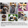 Dog Sunglasses, Dog Goggles with Adjustable Strap UV Protection Winproof Dog Puppy Sunglasses, Suitable for Medium-Large