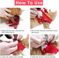 Cat & Dog Vest Harness - All Weather Mesh, Reflective Strap, Step-in Adjustable for Small Cats & Dogs (Red, XS)