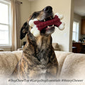 Kseroo Indestructible Dog Toys for Aggressive Chewers: Beef Flavored Hard Nylon Bone Chew Toys for Medium Large Breed Dogs (20-90 lbs), Red