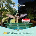 Bird Feeder with Camera Outdoor Solar: Smart Birdfeeder with AI Recognition - 2K HD Live Stream Video Camera for Outside