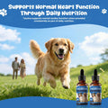 Taurine Liquid Supplement for Dogs, Heart & Muscle Function, Energy Balance