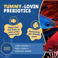 Betta Boost Pops | High-Protein Betta Fish Food Pellets Made in USA | Marine & Insect Protein | Floating & Slow-Sinking 