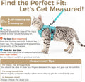 Cat Harness and Leash Set, Escape Proof Cat Vest, Turquoise, XL