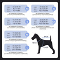 FUAMEY Recovery Suit for Dogs After Surgery,Soft Breathable Dog Bodysuit